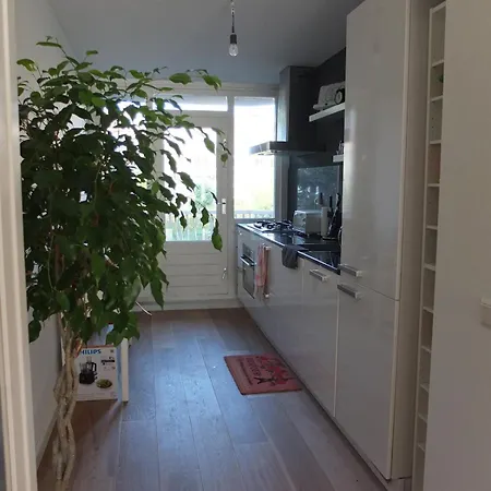 Cozy 2 Bedroom Away From Amesterdão